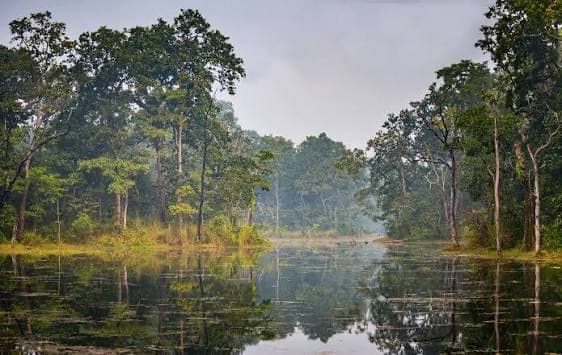 Chitwan — Subtropical Wildlife