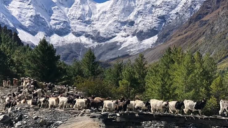 Manang journey