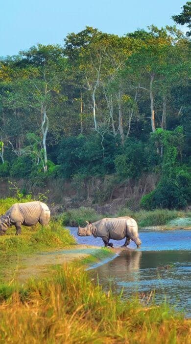Nature & Wildlife in Nepal