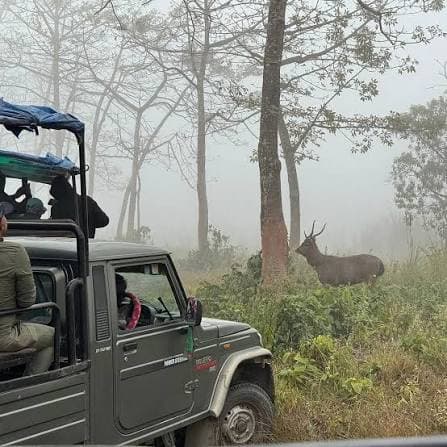 Chitwan jungle landscape