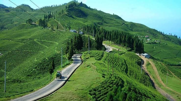 Ilam tea garden hills