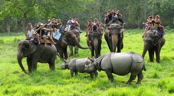 Chitwan wildlife safari